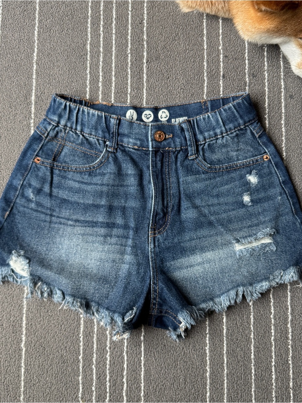 Denim High-Rise Frayed Hem Shorts - Blue